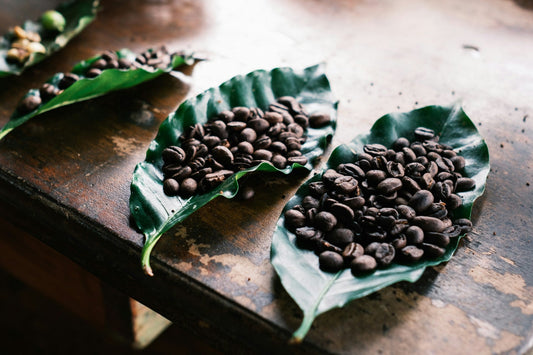How Specialty Coffee Is Grown: Farm to Cup | Rock Haven Coffee